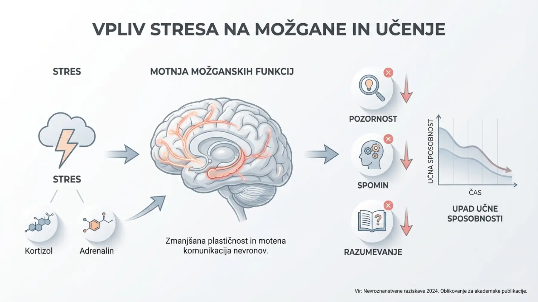 vpliv stresa na možgane kortizol adrenalin učenje spomin koncentracija infografika