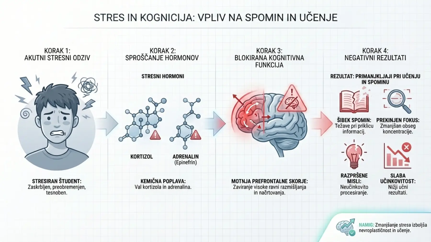 vpliv stresa na spomin ucenje kortizol adrenalin blokada mozganov infografika